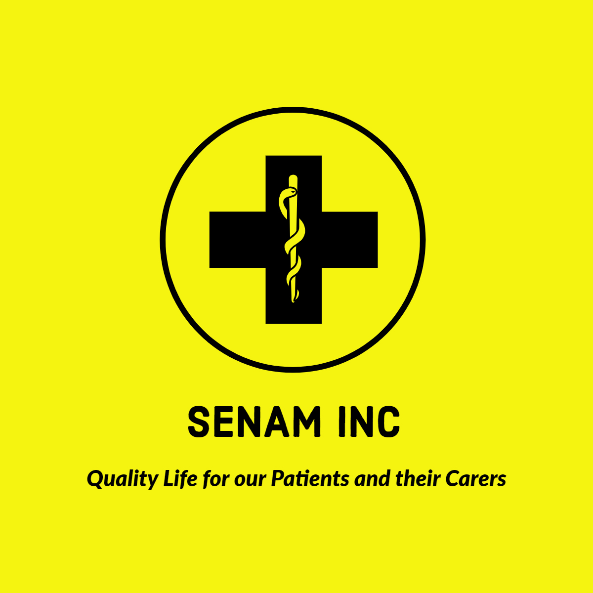 SENAM INC